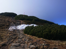 Babiogórski Park Narodowy
