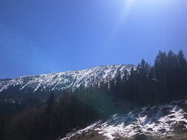 Babiogórski Park Narodowy