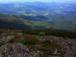 Babiogórski Park Narodowy