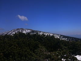Babiogórski Park Narodowy