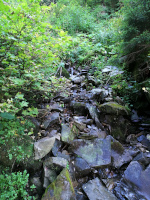 szlaki turystyczne w Zawoi