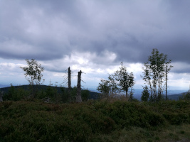 szlaki turystyczne w Zawoi